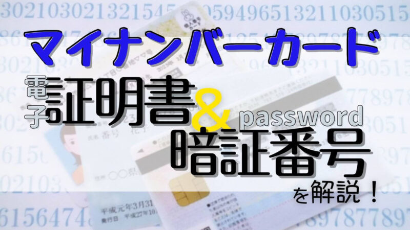 マイナンバーカードのおススメケース7選